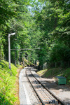 BSW05