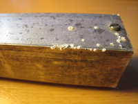 Alu1